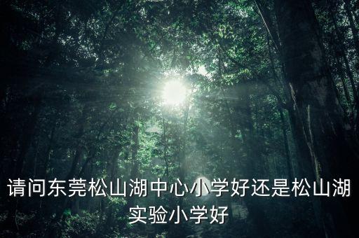 请问东莞松山湖中心小学好还是松山湖实验小学好