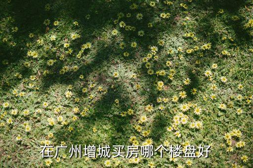 在广州增城买房哪个楼盘好