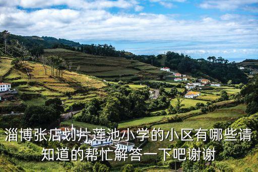 淄博张店划片莲池小学的小区有哪些请知道的帮忙解答一下吧谢谢
