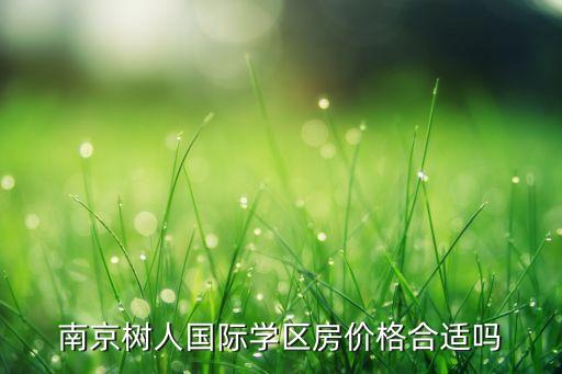 南京树人国际学区房价格合适吗