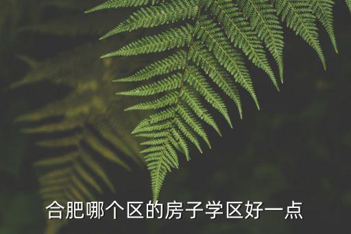 合肥哪个区的房子学区好一点