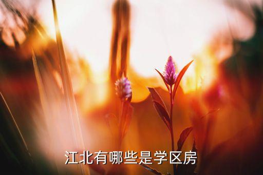 江北有哪些是学区房