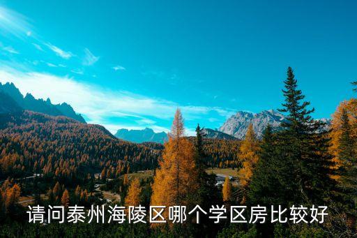 请问泰州海陵区哪个学区房比较好