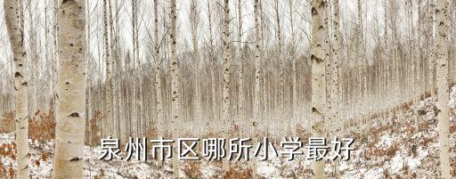 泉州市区哪所小学最好