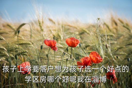 学区房哪个品牌好点呢图片，有好点的学区房推荐吗