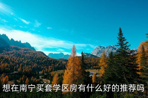 南宁重点小学学区房有哪些，想在南宁买套学区房有什么好的推荐吗