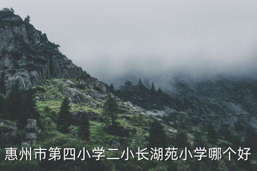 惠州小学区房哪个小区好，惠州大亚湾最好的学区房是哪个楼盘