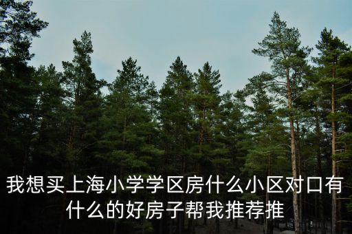 我想买上海小学学区房什么小区对口有什么的好房子帮我推荐推