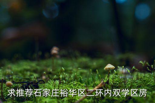裕华西路小学学区房有哪些，求推荐石家庄裕华区二环内双学区房