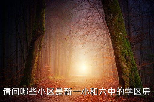 请问哪些小区是新一小和六中的学区房