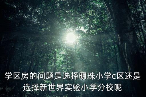 学区房的问题是选择明珠小学c区还是选择新世界实验小学分校呢