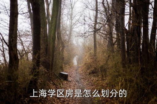 上海学区房是怎么划分的
