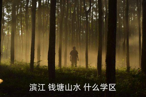 滨江 钱塘山水 什么学区