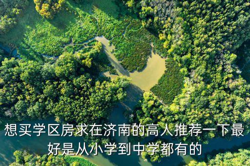 想买学区房求在济南的高人推荐一下最好是从小学到中学都有的