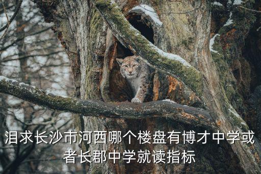 泪求长沙市河西哪个楼盘有博才中学或者长郡中学就读指标