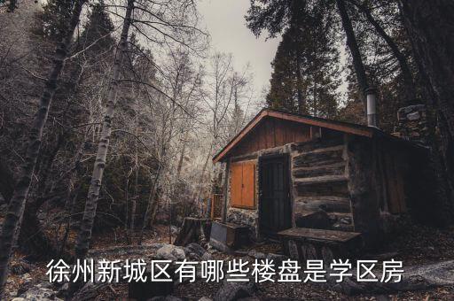 徐州新城区有哪些楼盘是学区房