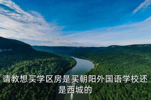 请教想买学区房是买朝阳外国语学校还是西城的