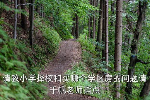 请教小学择校和买哪个学区房的问题请千帆老师指点