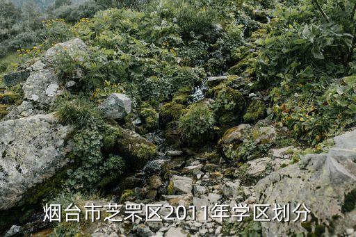 烟台市芝罘区2011年学区划分