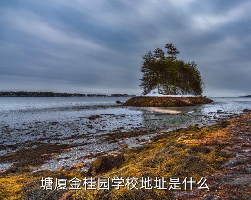 塘厦金桂园学校地址是什么
