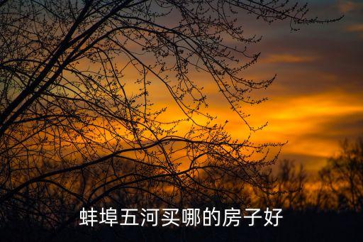 蚌埠五河买哪的房子好