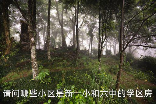 长春第一小学学区房有哪些，长春市小学学区划分