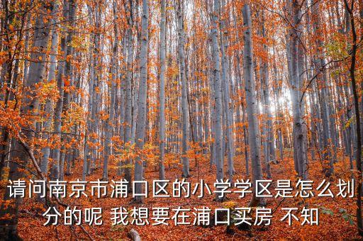 南京金基雅玥是哪个学区房，南京有哪些好的小学的学区房