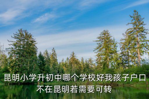 昆明学区房哪个学校好，住在昆明市度假区听涛雅苑请问孩子上小学去哪个学校好主要是教