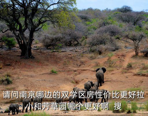 请问南京哪边的双学区房性价比更好拉小和芳草园哪个更好啊  搜