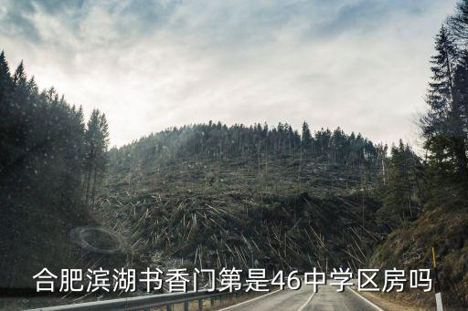 合肥滨湖书香门第是46中学区房吗