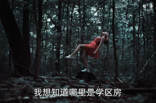 我想知道哪里是学区房
