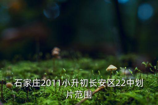 石家庄2011小升初长安区22中划片范围