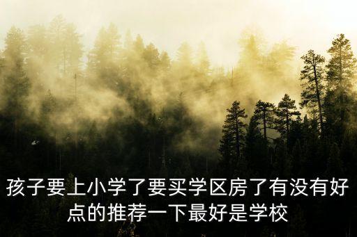 孩子要上小学了要买学区房了有没有好点的推荐一下最好是学校