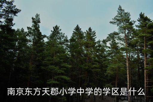 东方郡属于哪个学区房，南京东方天郡小学中学的学区是什么