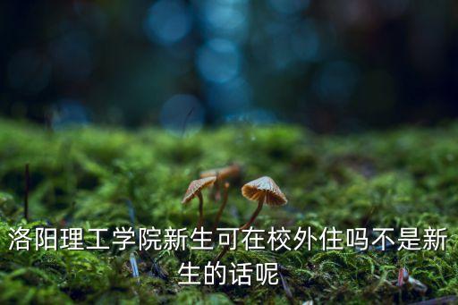 洛阳二外的学区房是哪个，洛阳理工学院新生可在校外住吗不是新生的话呢