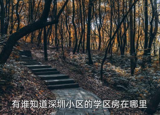 有谁知道深圳小区的学区房在哪里