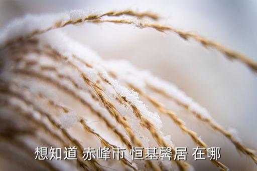 赤峰双子座属于哪个学区房，什么是双子座双子座适合什么样的人做朋友呢