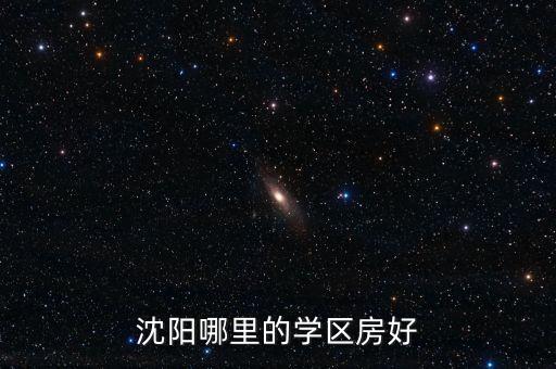 沈阳哪里的学区房好
