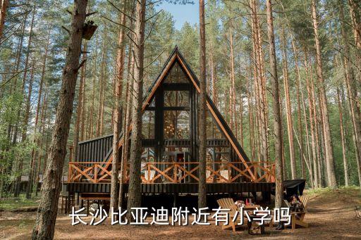 长沙比亚迪附近有小学吗