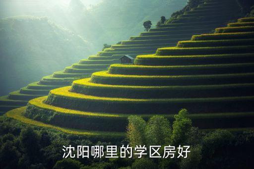 沈阳学区房选哪个好点儿，沈阳哪里的学区房好