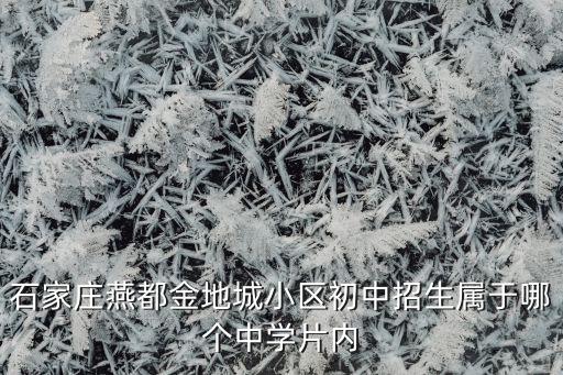 金地城属于哪个学区房，石家庄燕都金地城小区初中招生属于哪个中学片内