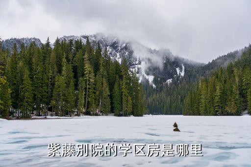紫藤别院的学区房是哪里