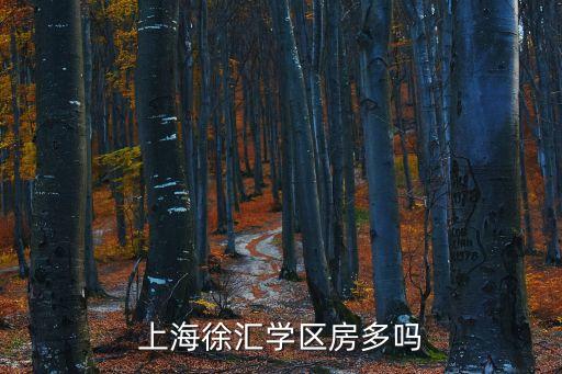 上海徐汇学区房多吗