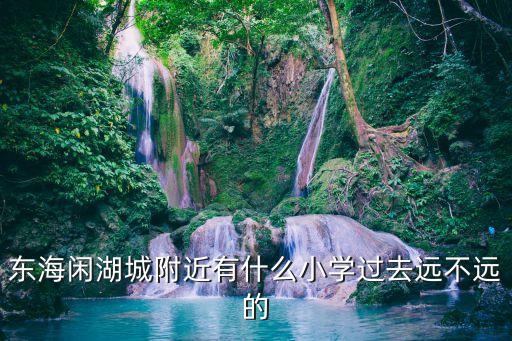 东海闲湖城附近有什么小学过去远不远的