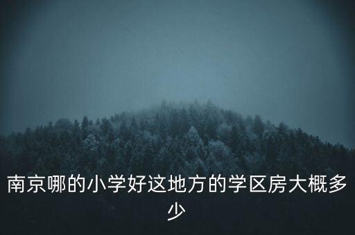 南京哪的小学好这地方的学区房大概多少