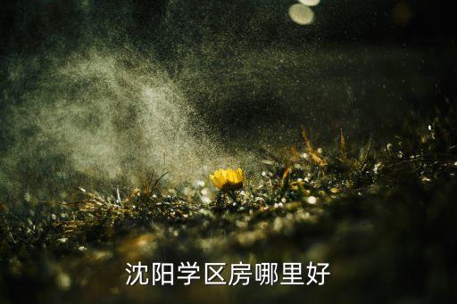沈阳学区房哪里好