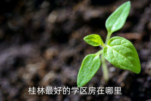 桂林最好的学区房在哪里