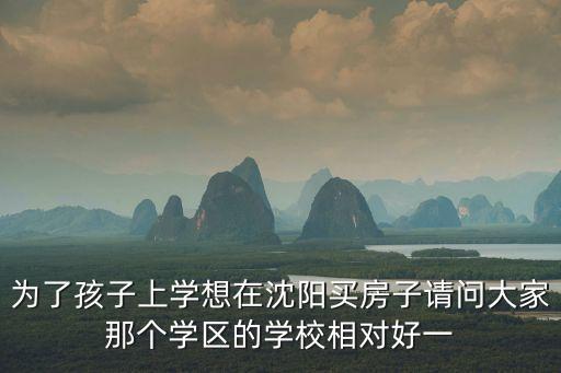为了孩子上学想在沈阳买房子请问大家那个学区的学校相对好一
