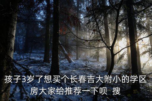 长春地铁学区房哪个好，谁可以推荐我哪个长春学区房好点