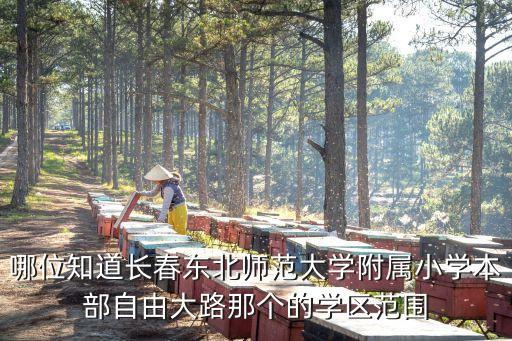 哪位知道长春东北师范大学附属小学本部自由大路那个的学区范围